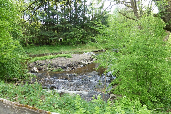 Umgebung 1